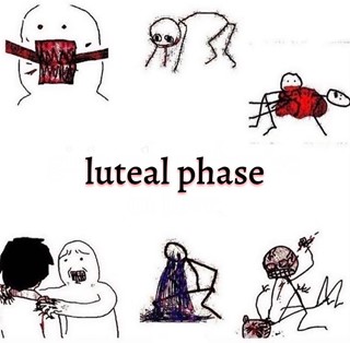 luteal phase ugly distressed crying meme