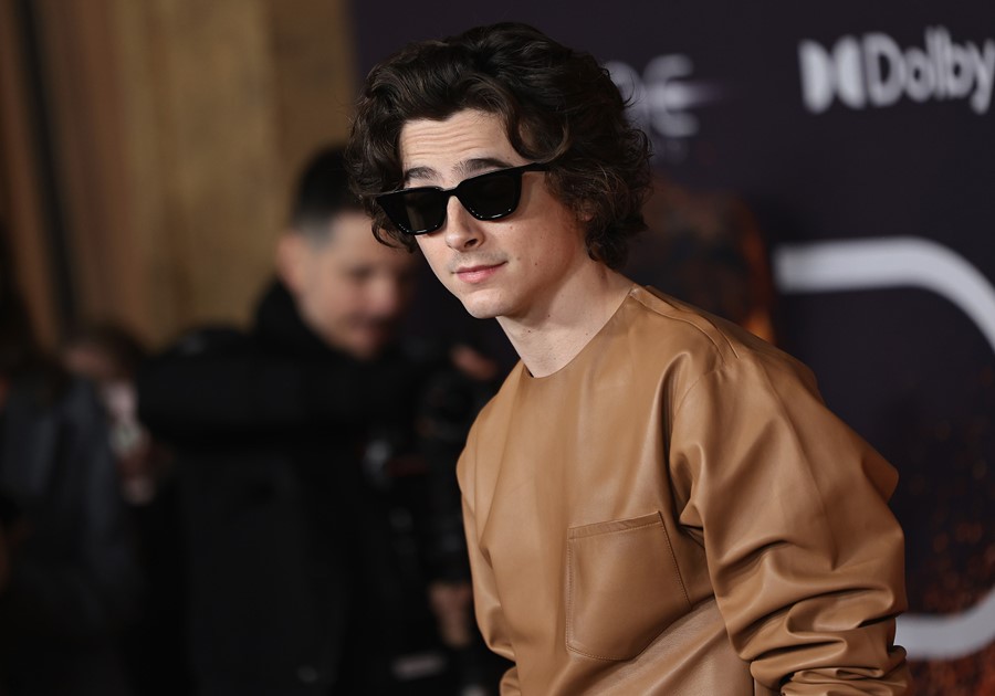 Timoth&#233;e Chalamet